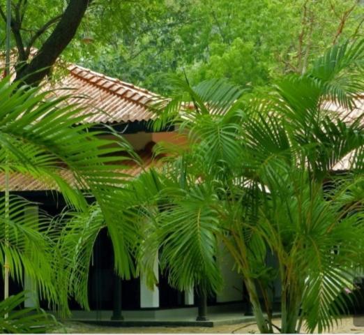 Jayasinghe Holiday Resort Kataragama Dış mekan fotoğraf